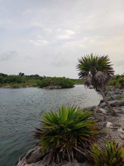 Apartment Yalku - Private Access To Lagoon Tulum